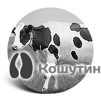 Подрезание и лечение копыт у коров
